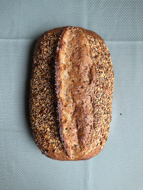 SEMILLA